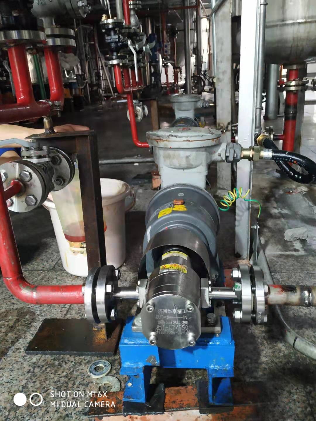 不锈钢齿轮泵/植物油精制